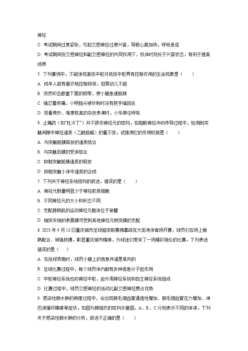 福建省龙岩市部分学校2025-2026学年高二上学期10月月考生物试卷（学生版）第2页