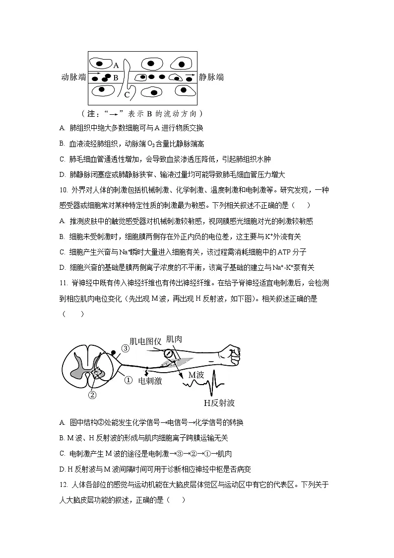 福建省龙岩市部分学校2025-2026学年高二上学期10月月考生物试卷（学生版）第3页