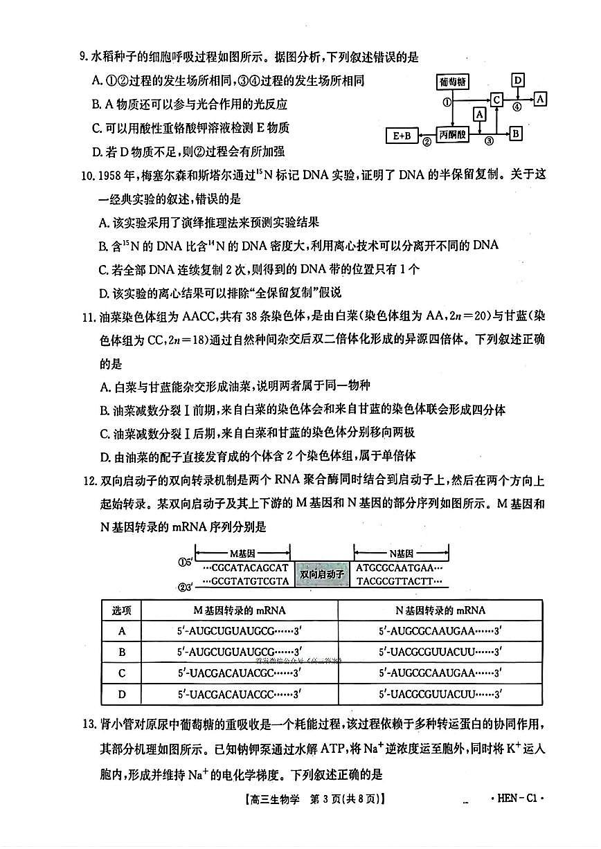 2025年河南金太阳高三上学期11月生物试题无答案第3页