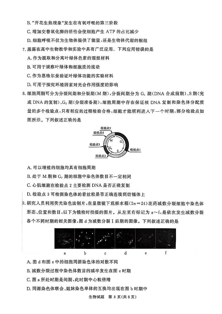 生物第3页