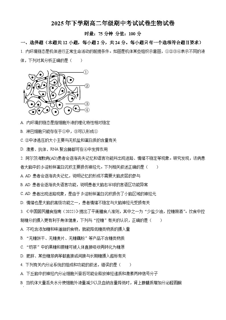 湖南省湘潭县第一中学2025-2026学年高二上学期期中考试生物试题（原卷版）第1页