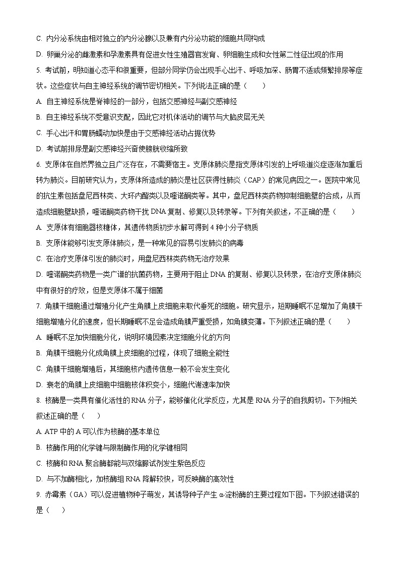 湖南省湘潭县第一中学2025-2026学年高二上学期期中考试生物试题（原卷版）第2页