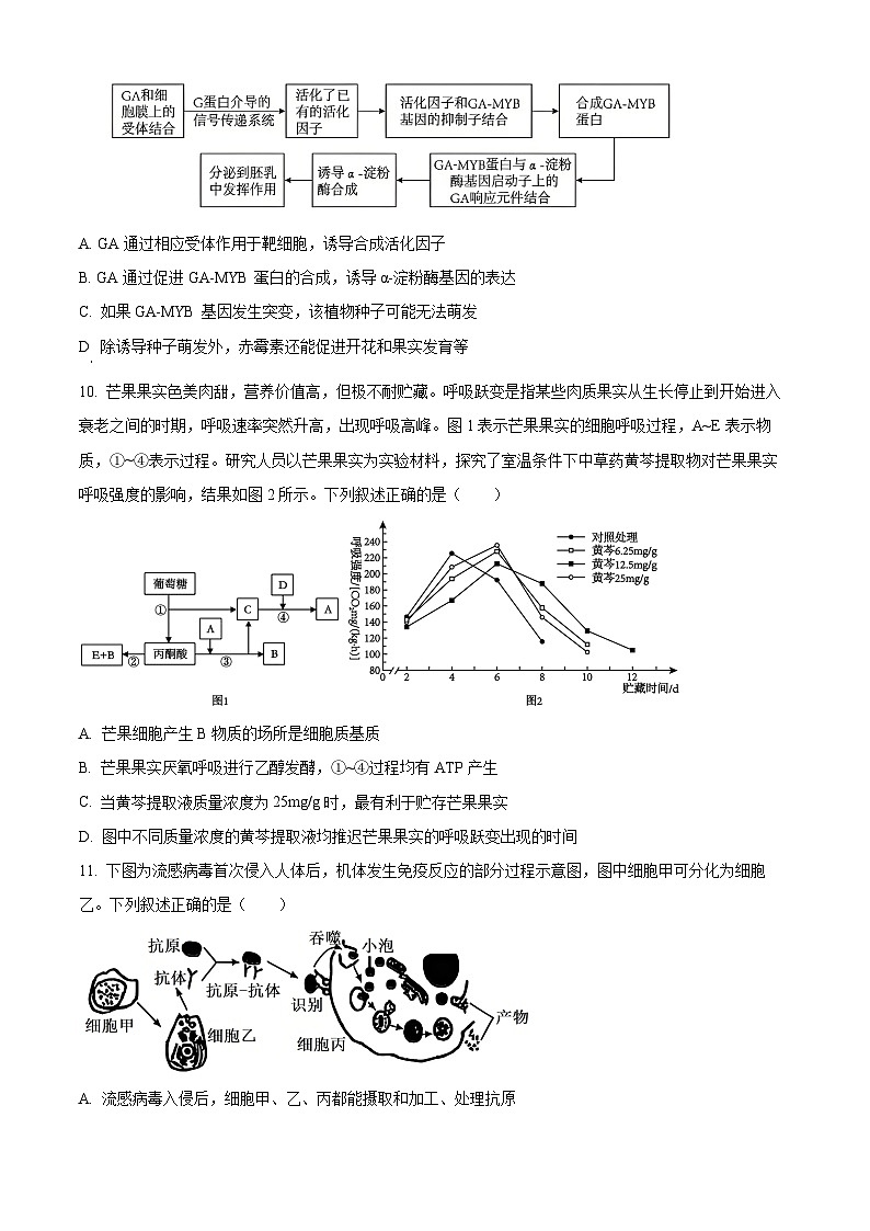 湖南省湘潭县第一中学2025-2026学年高二上学期期中考试生物试题（原卷版）第3页