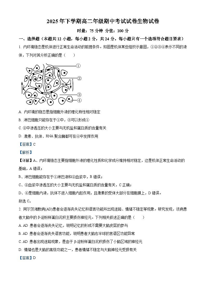 湖南省湘潭县第一中学2025-2026学年高二上学期期中考试生物试题 Word版含解析第1页