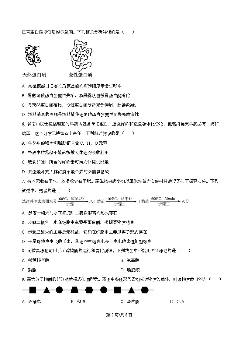 湖南省长沙市长郡中学2025-2026学年高一上学期11月期中生物试题（原卷版）第2页