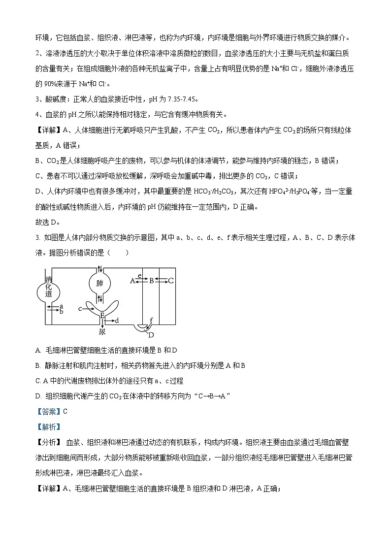 山东省日照第一中学2025-2026学年高二上学期第一次质量检测生物试卷（解析版）第2页