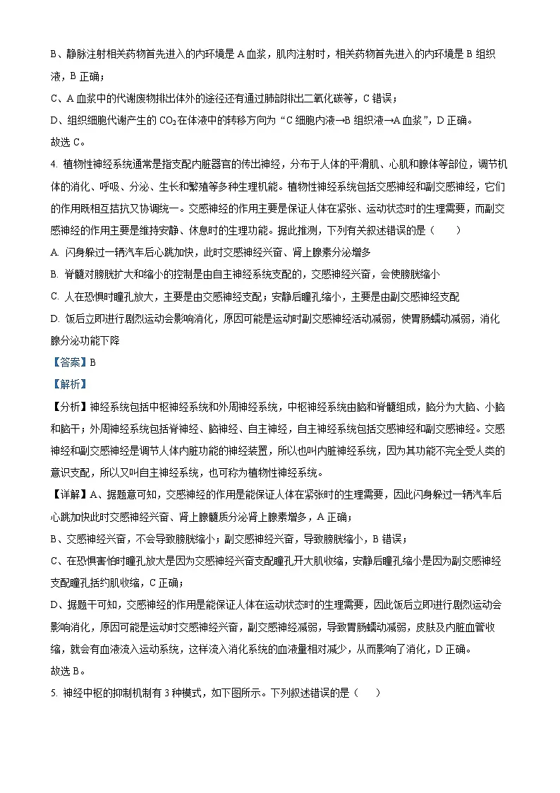 山东省日照第一中学2025-2026学年高二上学期第一次质量检测生物试卷（解析版）第3页