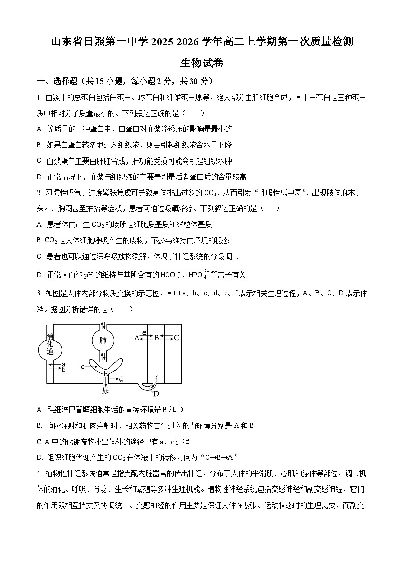 山东省日照第一中学2025-2026学年高二上学期第一次质量检测生物试卷（原卷版）第1页