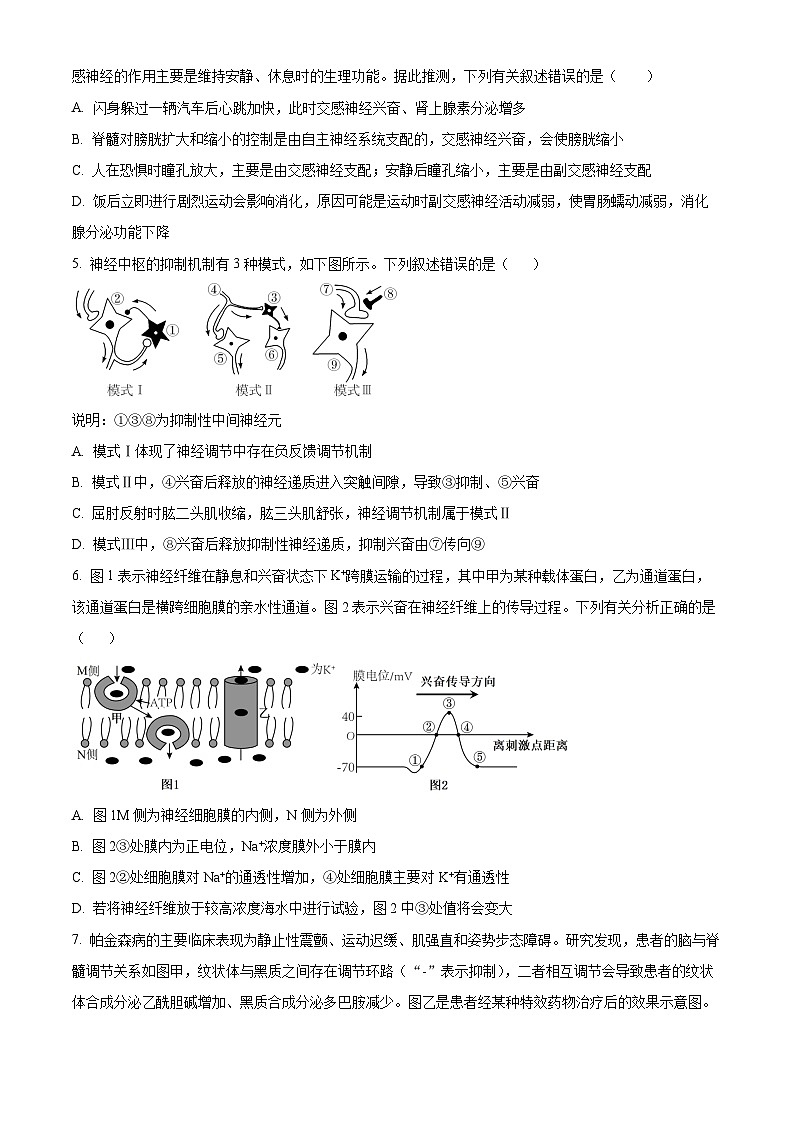 山东省日照第一中学2025-2026学年高二上学期第一次质量检测生物试卷（原卷版）第2页