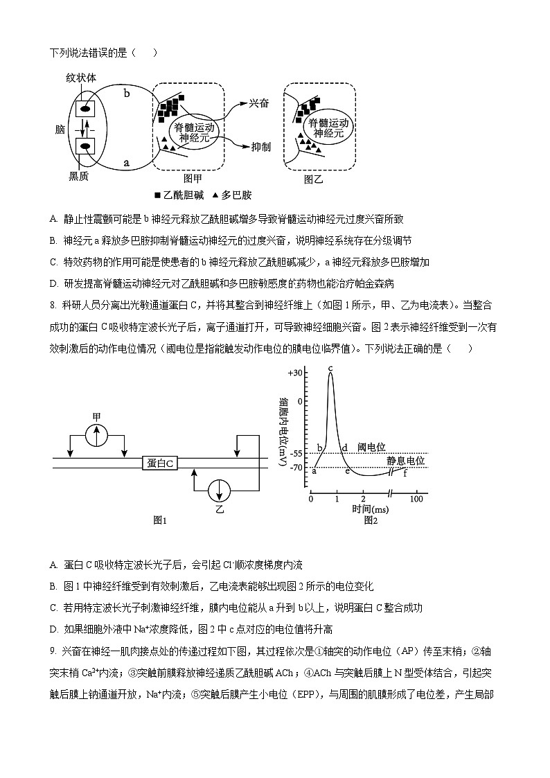山东省日照第一中学2025-2026学年高二上学期第一次质量检测生物试卷（原卷版）第3页