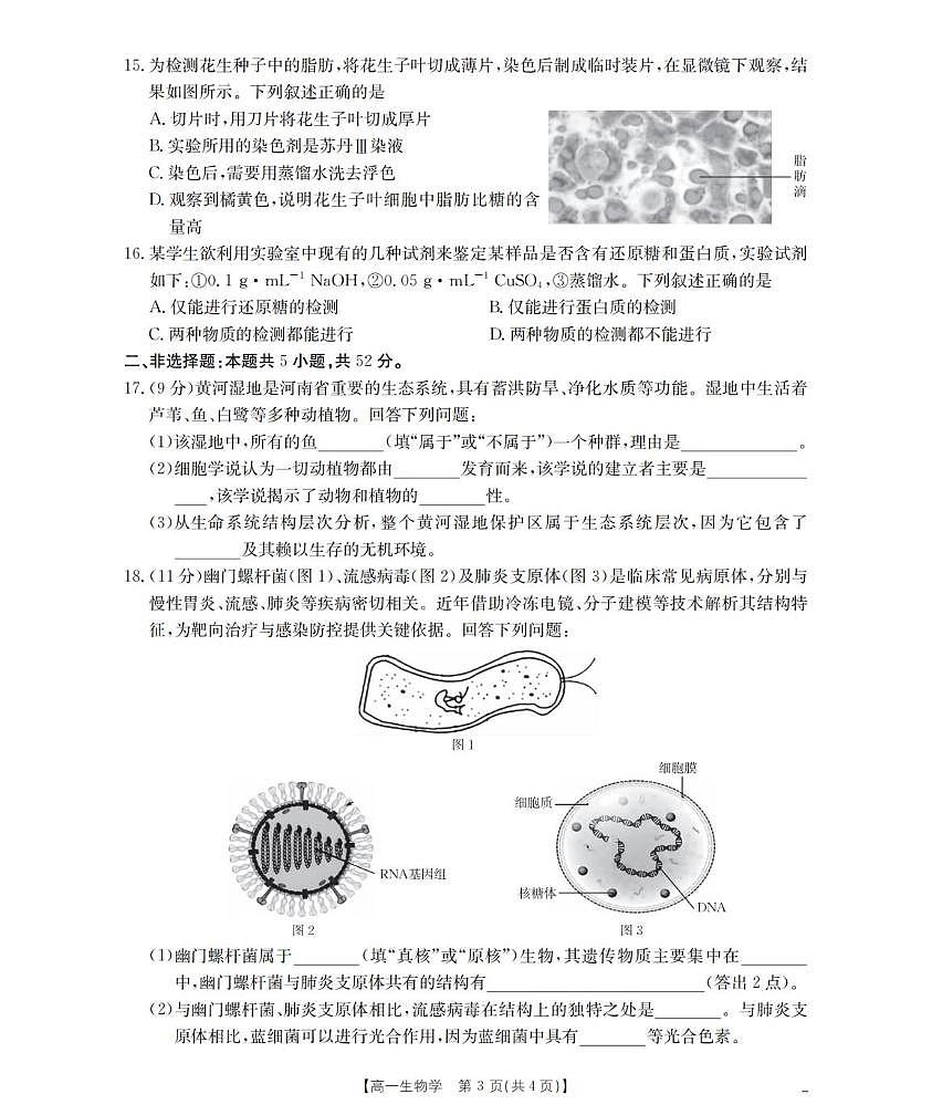 河南省南阳地区2025-2026学年高一上学期10月阶段考试生物试题（含答案）第3页