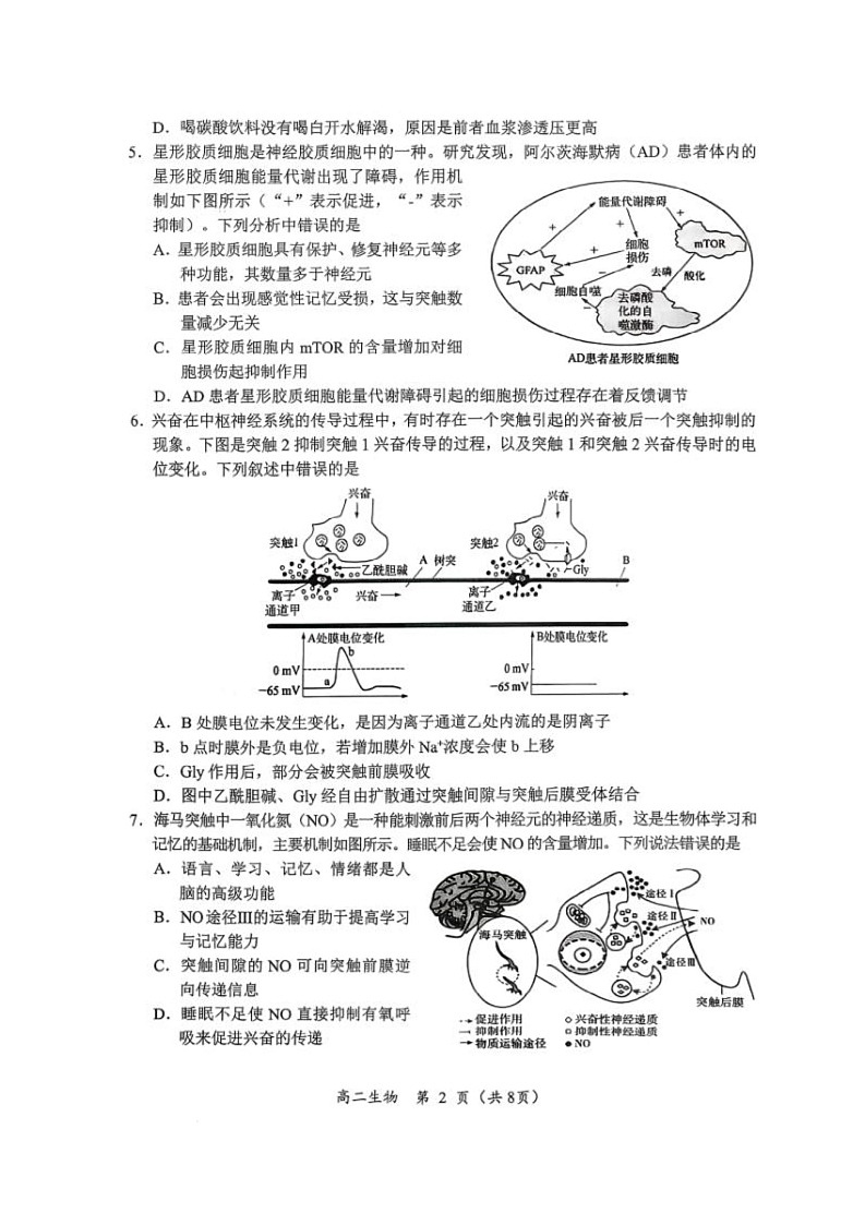 四川省凉山州西昌市2025-2026学年高二上学期期中考试生物试题第2页