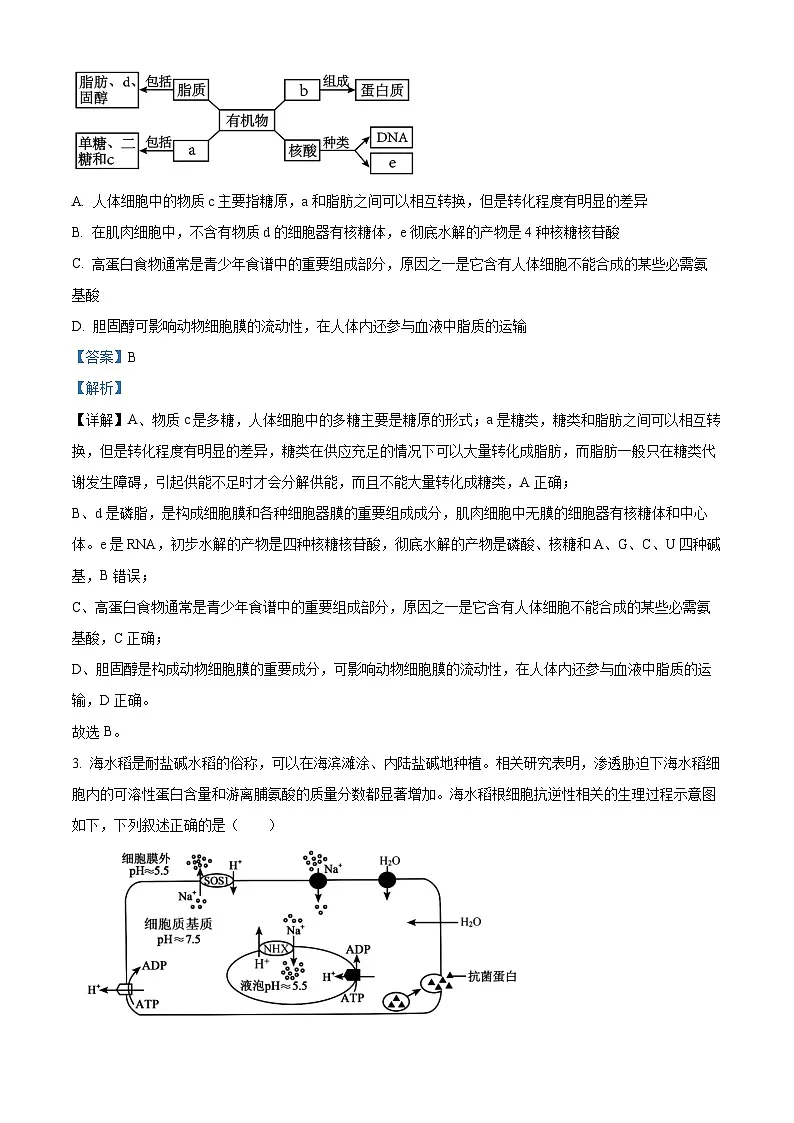 湖南省湘东教学联盟2026届高三上学期11月一模联考生物学试题 Word版含解析第2页