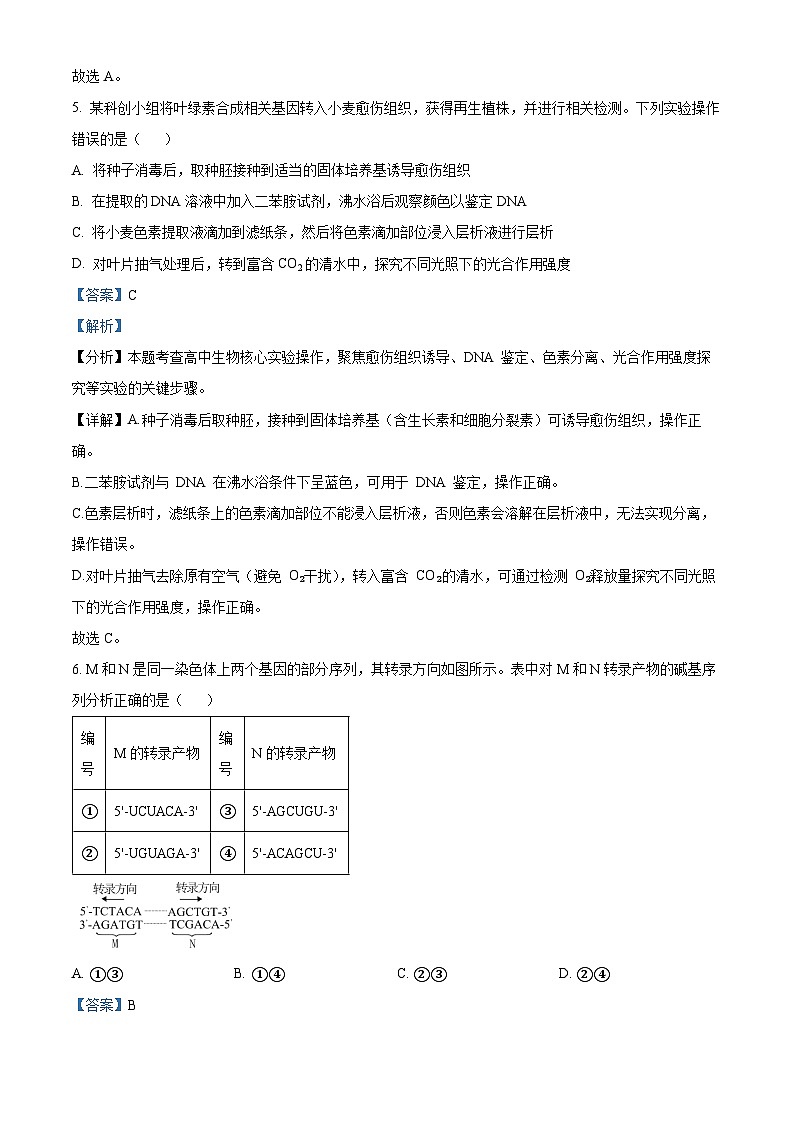 2025高考河北卷生物真题试卷（解析版）第3页