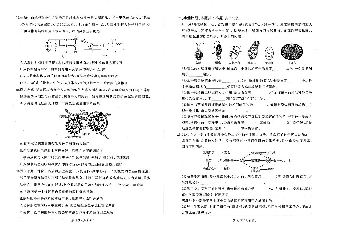 辽宁省点石联考2025-2026学年高一上学期11月期中考试生物试卷第3页