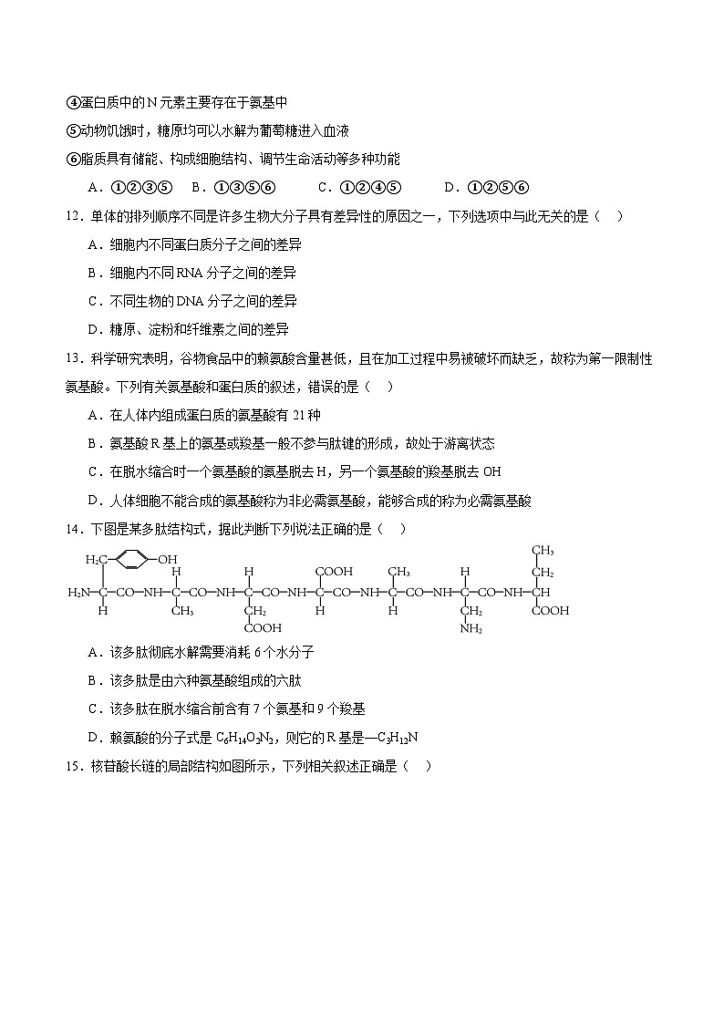 吉林油田高级中学2025-2026学年高一上学期期初考试生物试题（Word版附答案）第3页