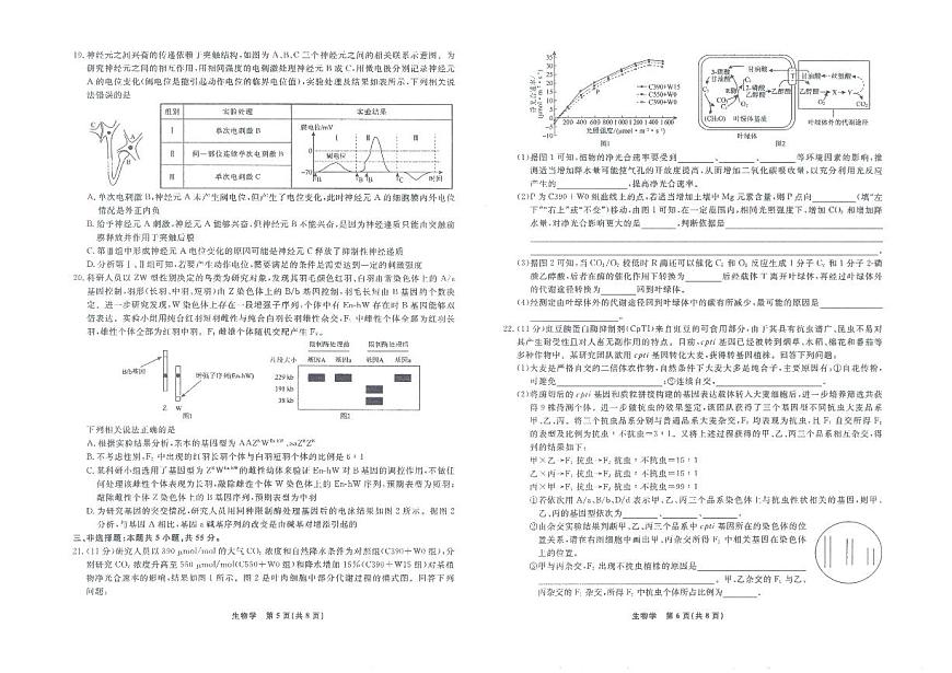 辽宁省名校联盟2025-2026高三上学期11月联考生物试卷及答案第3页
