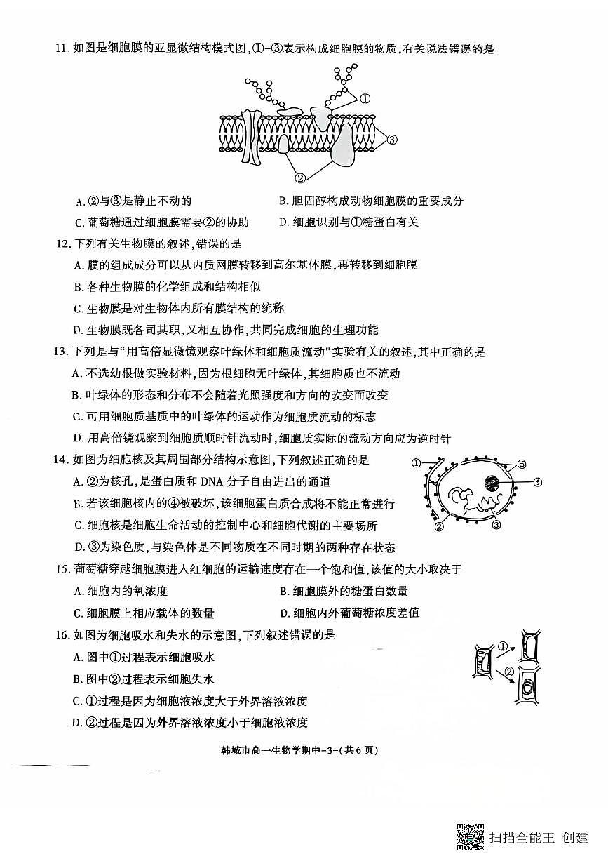 2025-2026年度第一学期陕西省韩城高一生物期中试卷第3页