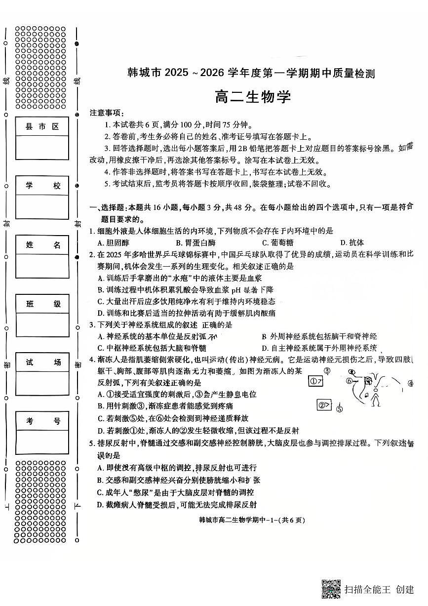 2024-2025年度第一学期陕西省韩城市高二生物期中试卷第1页