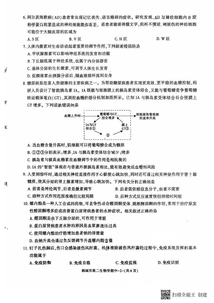 2024-2025年度第一学期陕西省韩城市高二生物期中试卷第2页