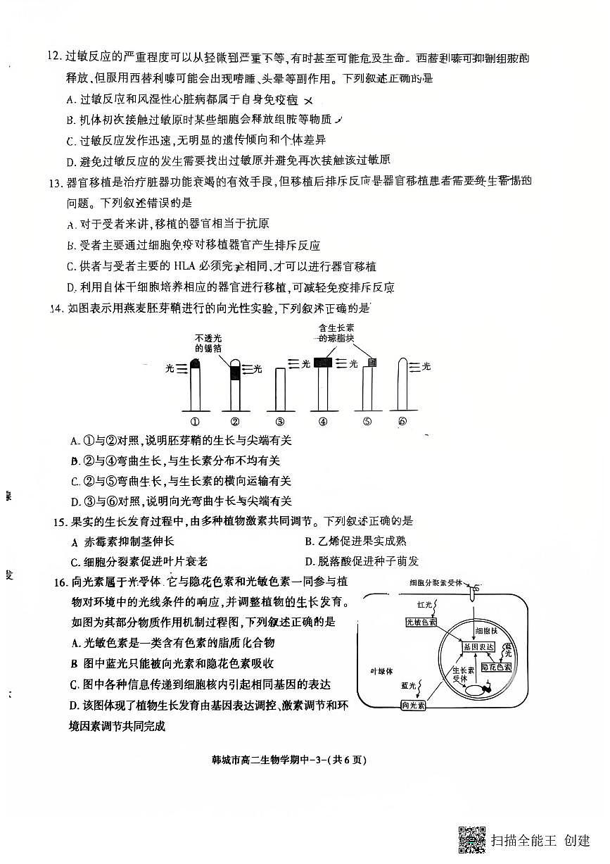2024-2025年度第一学期陕西省韩城市高二生物期中试卷第3页