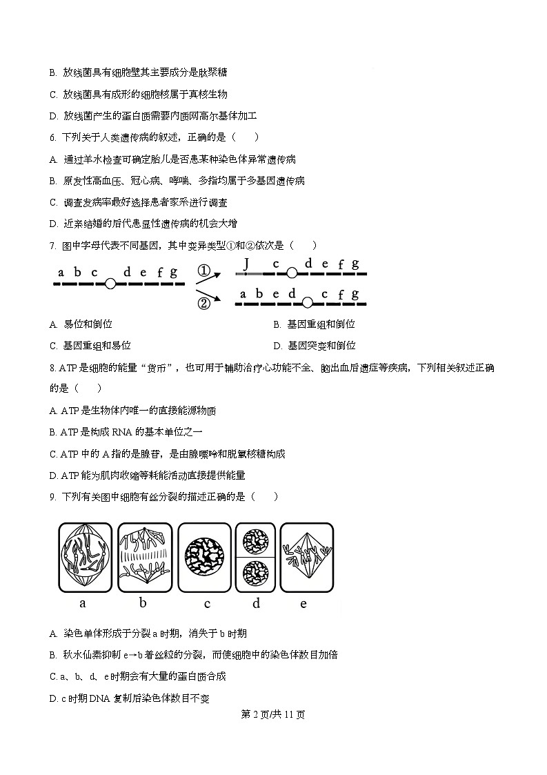 浙江省宁波六校联盟2025-2026学年高二上学期11月期中生物试题（原卷版）第2页