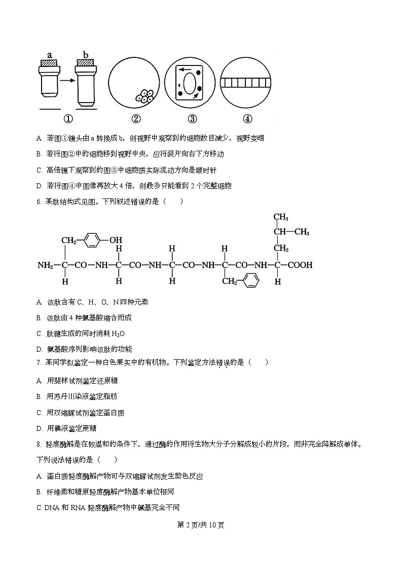 浙江省宁波六校联盟2025-2026学年高一上学期11月期中生物试题（原卷版）第2页