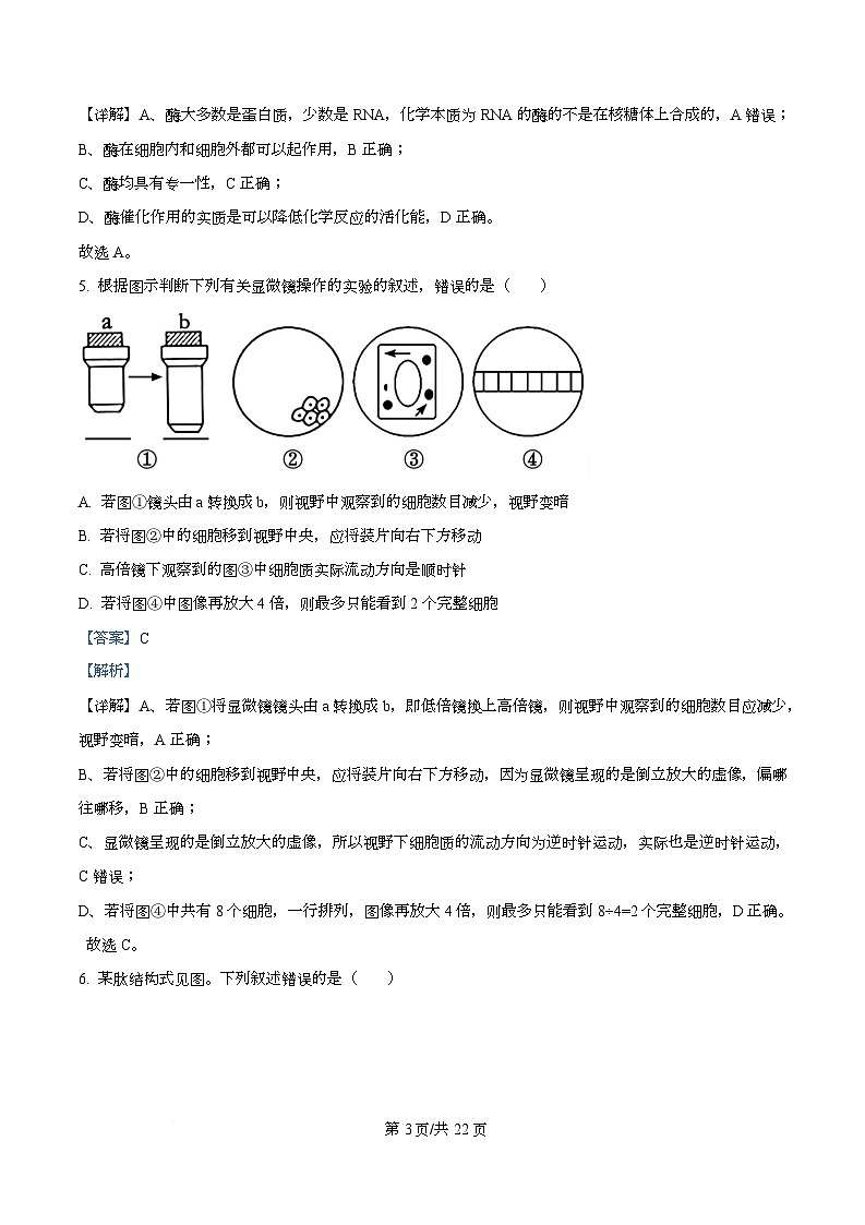 浙江省宁波六校联盟2025-2026学年高一上学期11月期中生物试题 Word版含解析第3页