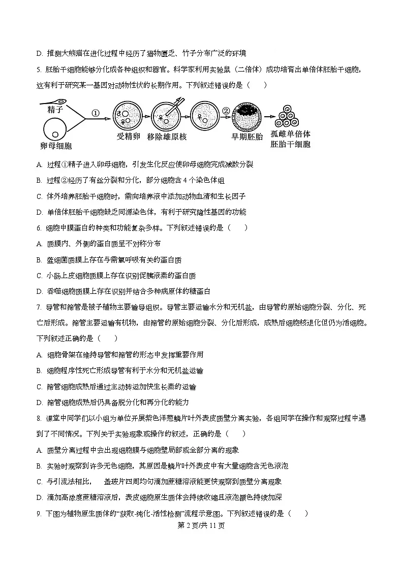 2026届浙江省金华市婺城区等4地高三一模生物试题（原卷版）第2页