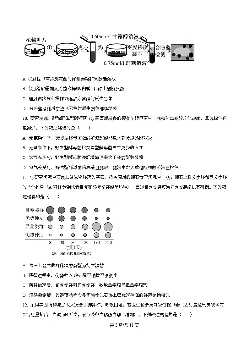 2026届浙江省金华市婺城区等4地高三一模生物试题（原卷版）第3页