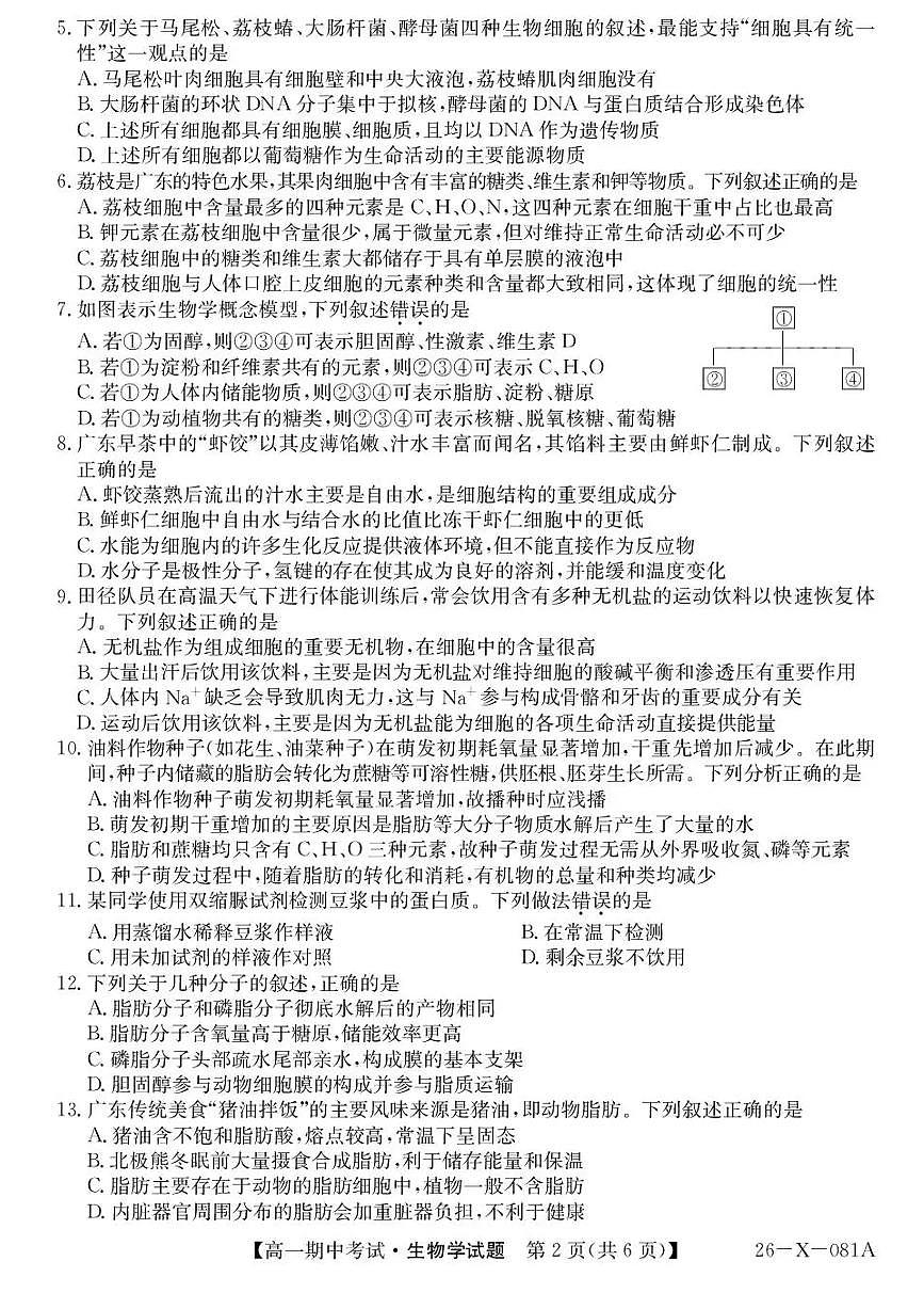 广东省深圳市深圳盟校2025-2026学年高一上学期11月期中生物试题含答案第2页