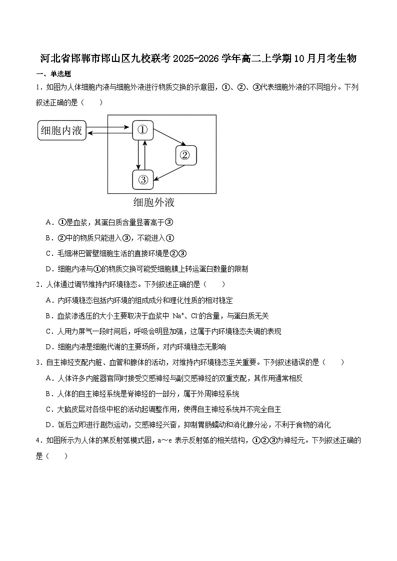 河北省邯郸市邯山区九校联考2025-2026学年高二上学期10月一调考试 生物 Word版含答案第1页