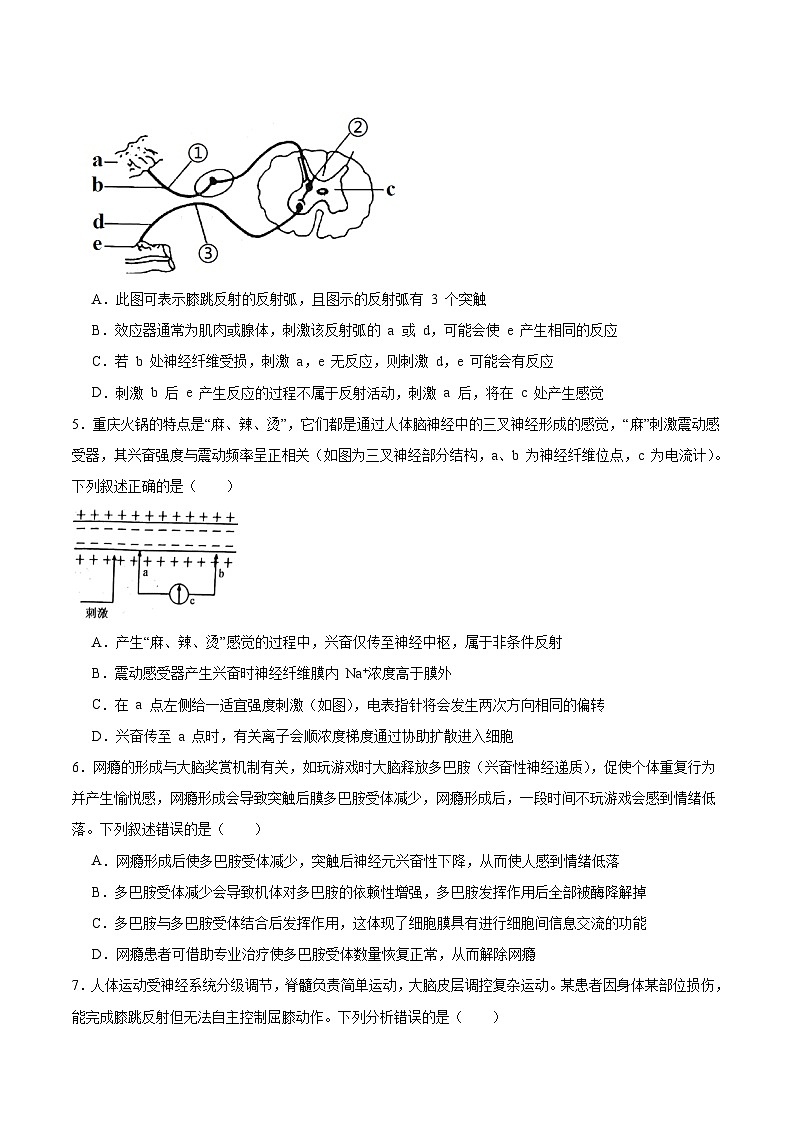 河北省邯郸市邯山区九校联考2025-2026学年高二上学期10月一调考试 生物 Word版含答案第2页