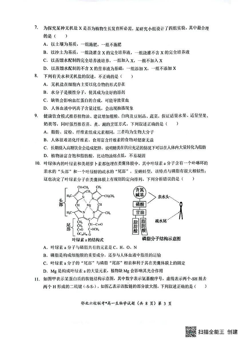 湖北鄂北六校2025-2026学年高一上学期11月期中联考生物试题含答案第3页
