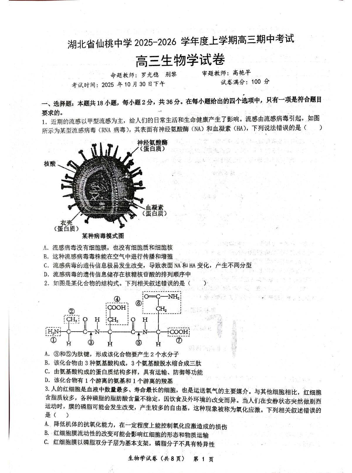 湖北省仙桃中学2026届高三上学期期中考试生物试卷 含答案第1页
