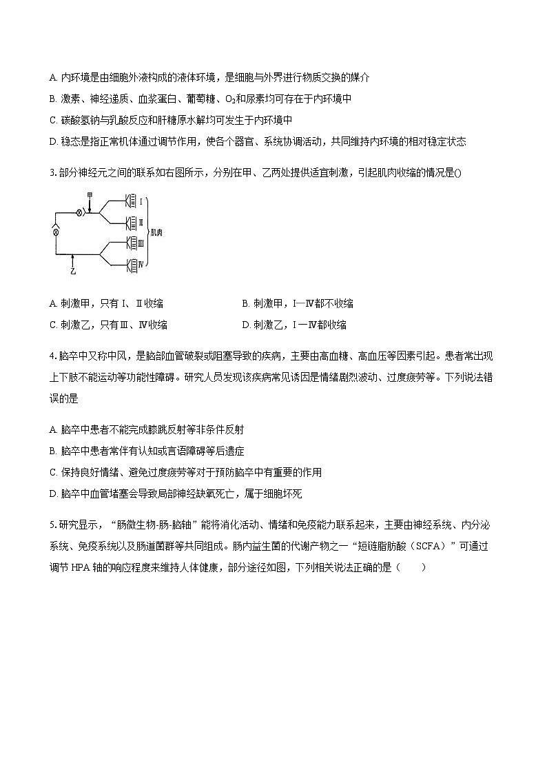 望城二中高二期中考试生物试卷-学生用卷第2页