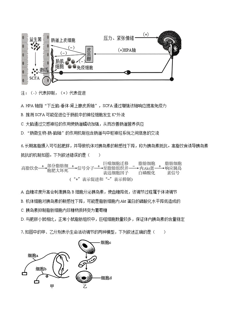 望城二中高二期中考试生物试卷-学生用卷第3页