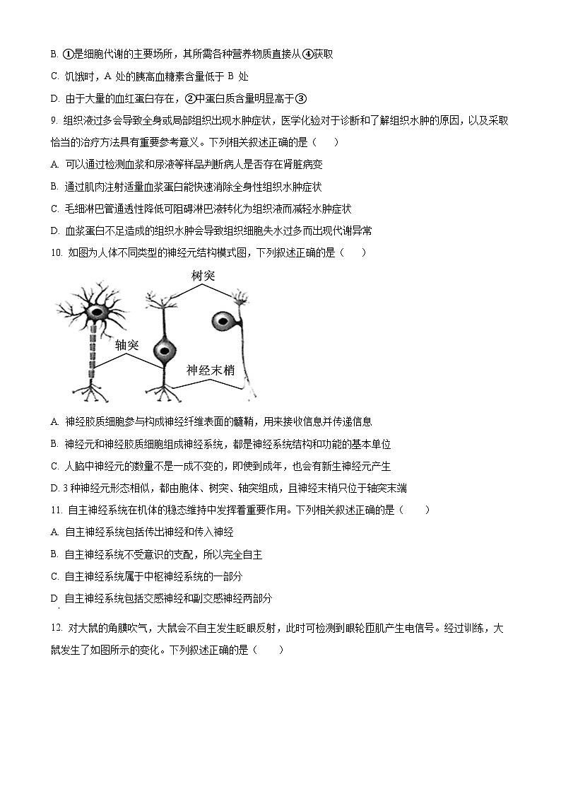 精品解析：天津市滨海新区北京师范大学天津生态城附属学校2025-2026学年高二上学期10月月考生物试题（原卷版）第3页