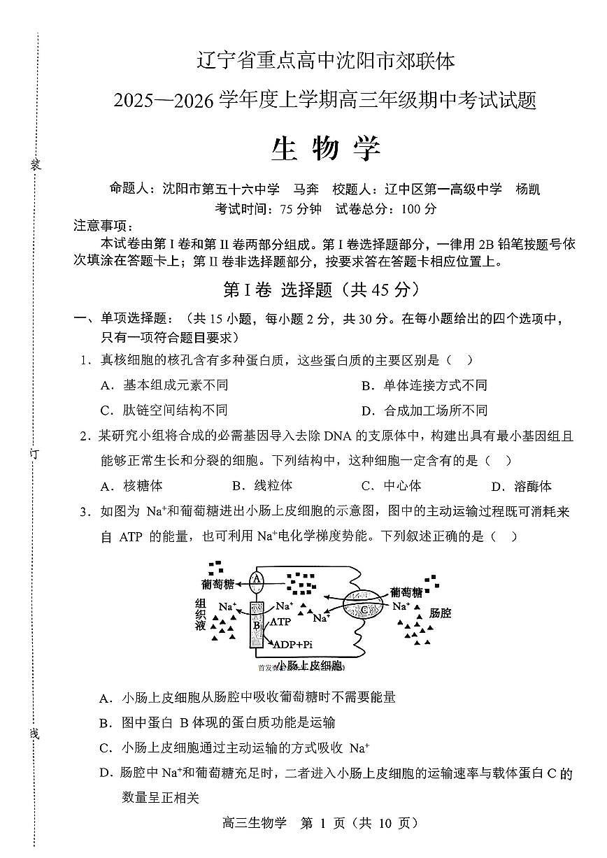 2025年沈阳郊联体高三上学期11月期中生物试题及答案第1页