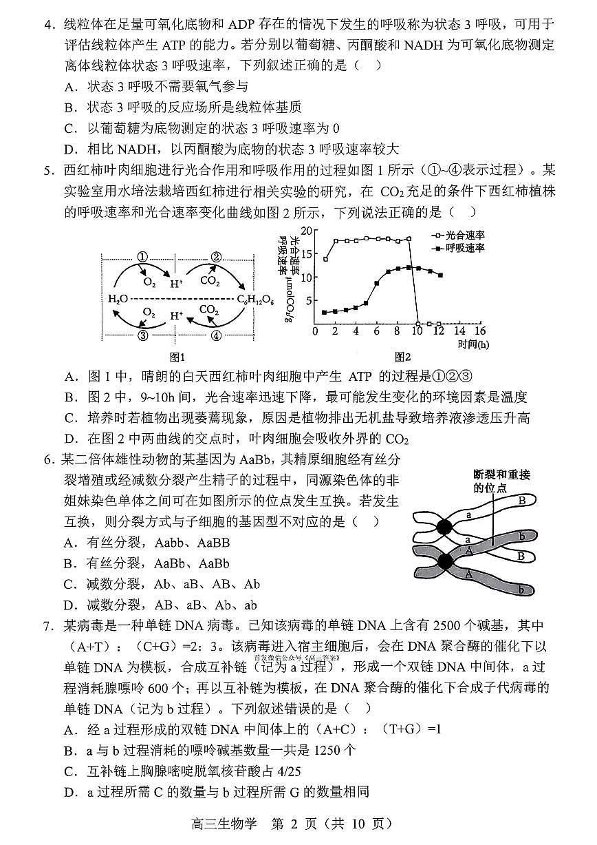 2025年沈阳郊联体高三上学期11月期中生物试题及答案第2页