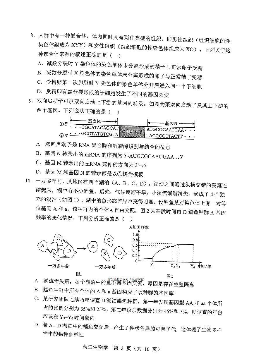 2025年沈阳郊联体高三上学期11月期中生物试题及答案第3页