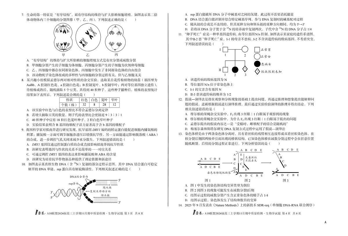 安徽A10联盟26届高三生物11月期中联考试卷第2页