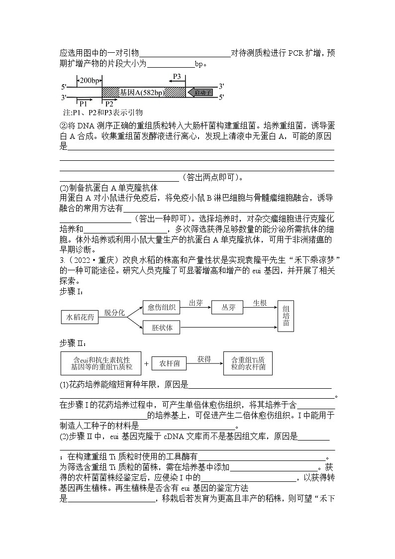 2026届高考生物学人教版一轮复习《第3.3节+基因工程的应用》分层练+第3页