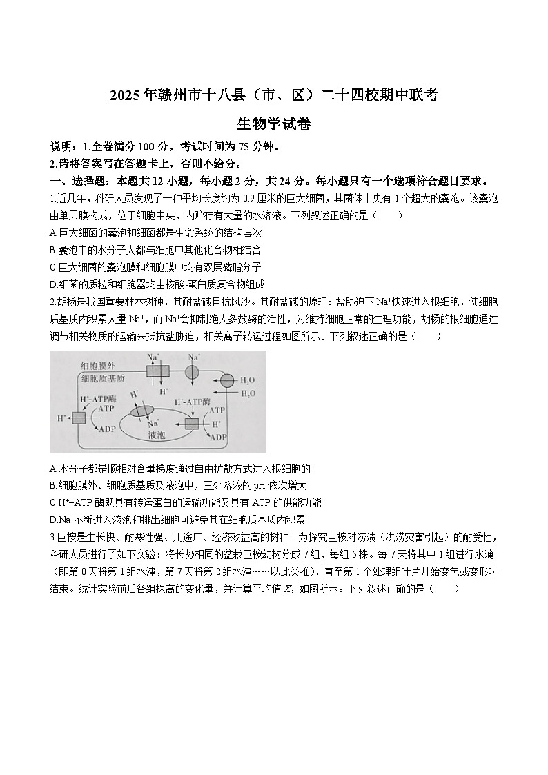 江西省赣州市二十四校大联考2026届高三上学期11月期中考试生物试卷第1页