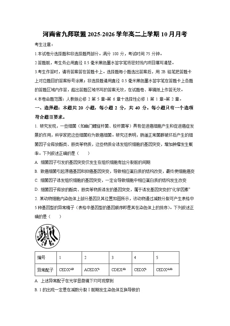 河南省九师联盟2025-2026学年高二上学期10月月考生物试卷（学生版）第1页