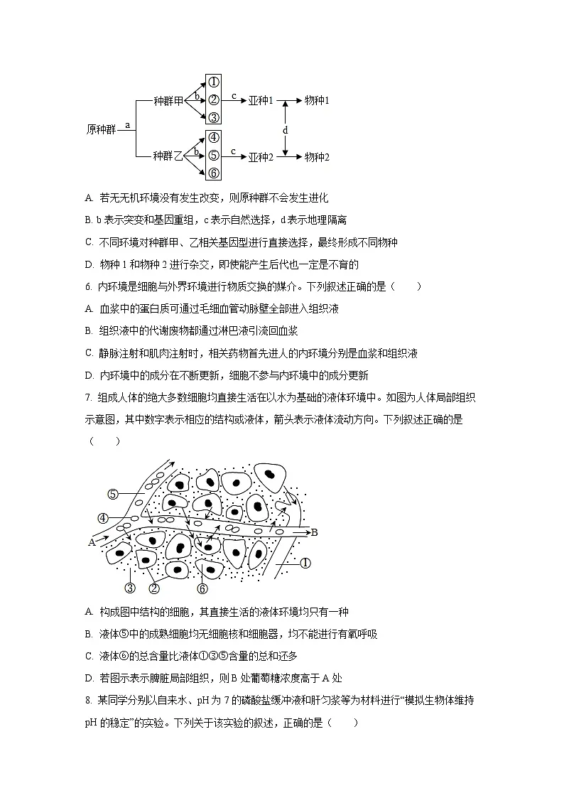 河南省九师联盟2025-2026学年高二上学期10月月考生物试卷（学生版）第3页