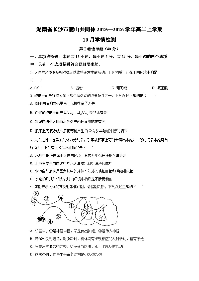 湖南省长沙市麓山共同体2025—2026学年高二上学期10月学情检测生物试卷（学生版）第1页