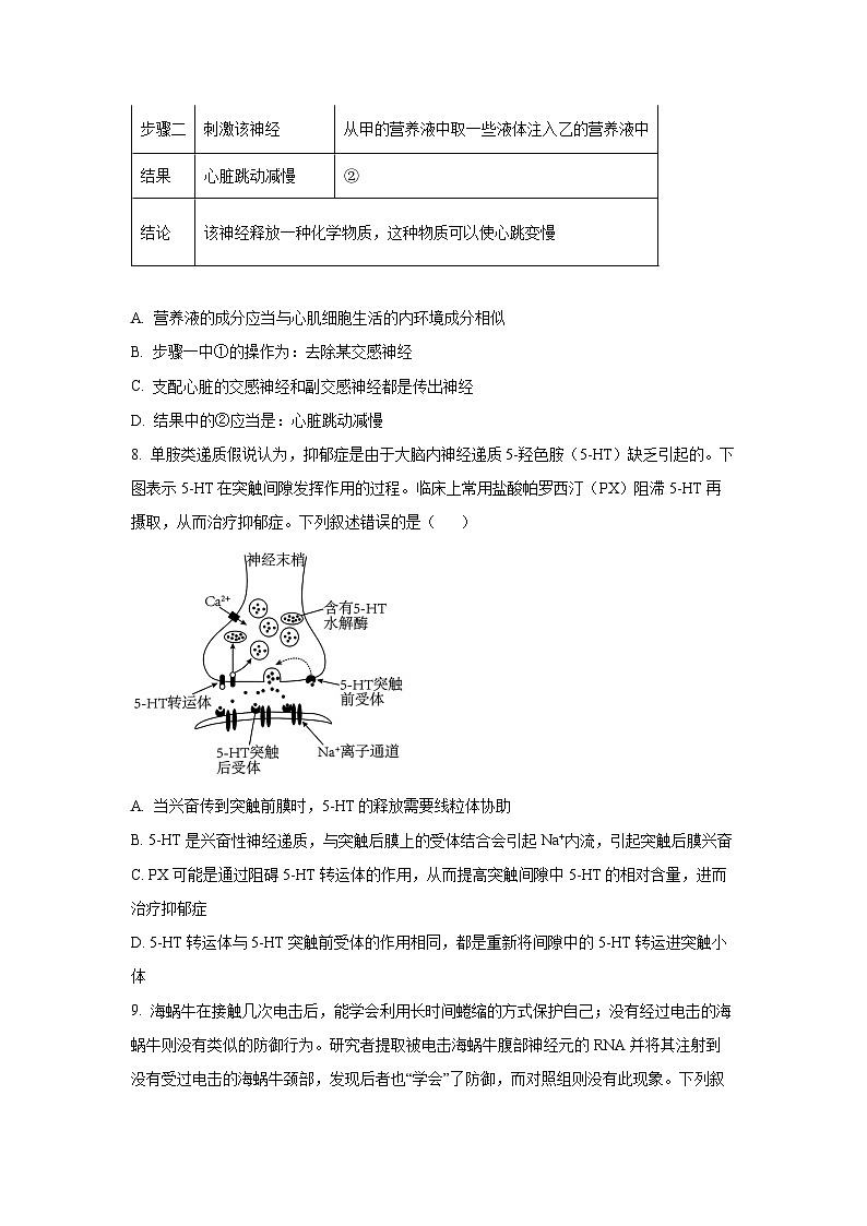 湖南省长沙市麓山共同体2025—2026学年高二上学期10月学情检测生物试卷（学生版）第3页