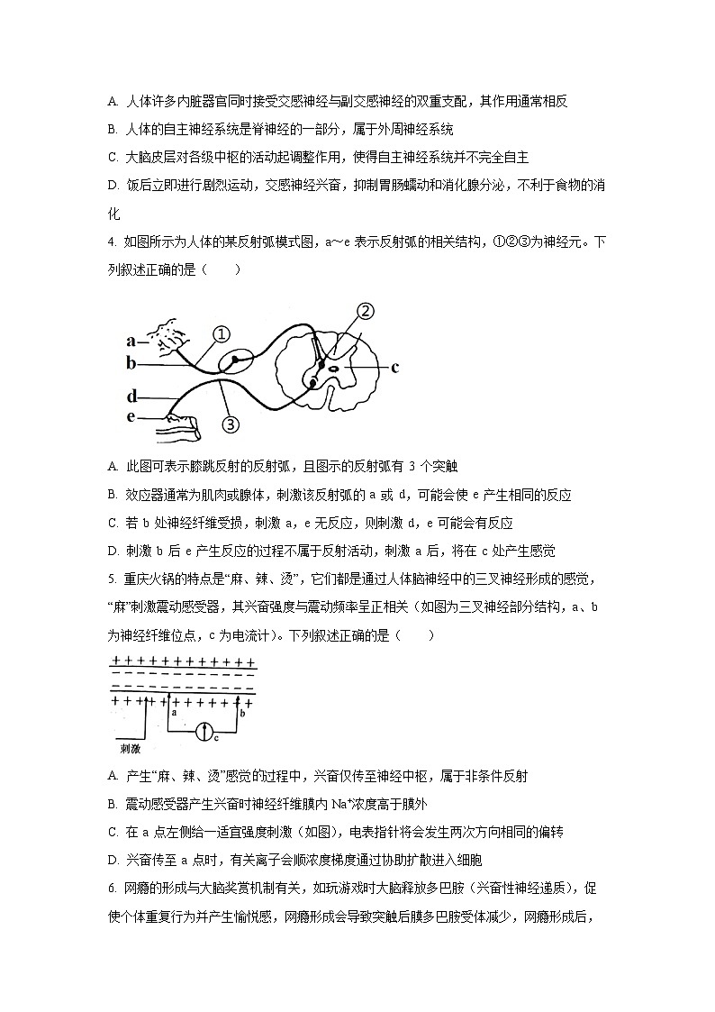 河北省邯郸市邯山区九校联考2025-2026学年高二上学期10月月考生物试卷（学生版）第2页