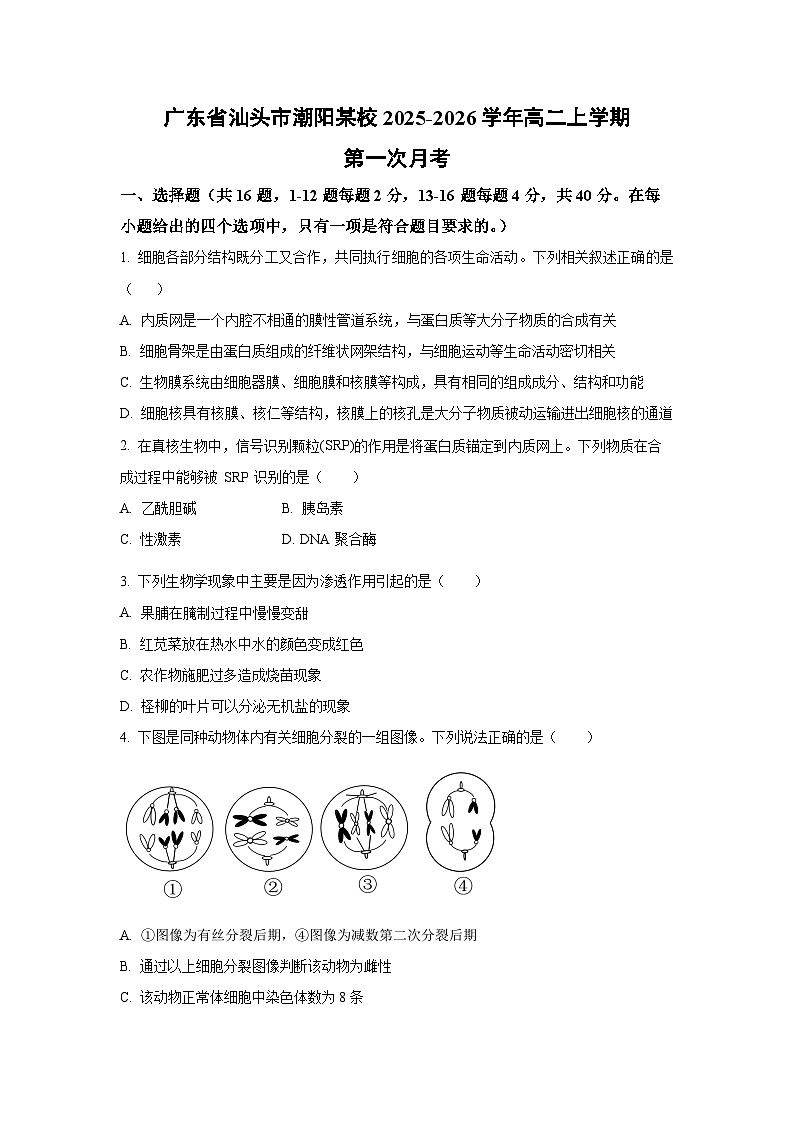 广东省汕头市潮阳某校2025-2026学年高二上学期第一次月考生物试卷（学生版）第1页